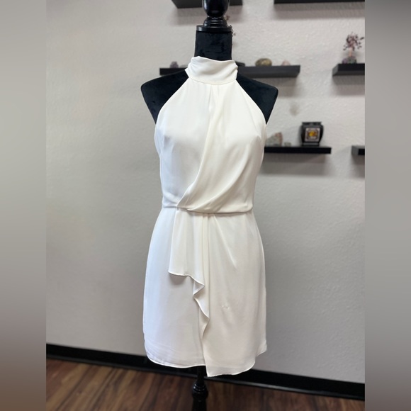 Halston Mock-Neck Mini Dress in Chalk Sz 2 - Picture 1 of 14